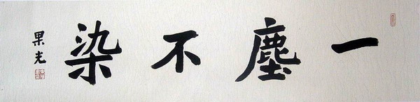 果光;一尘不染32X128.JPG