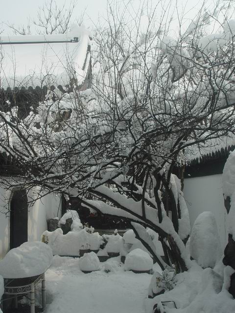 静海画院景-2.JPG