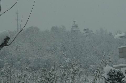 气象台.JPG