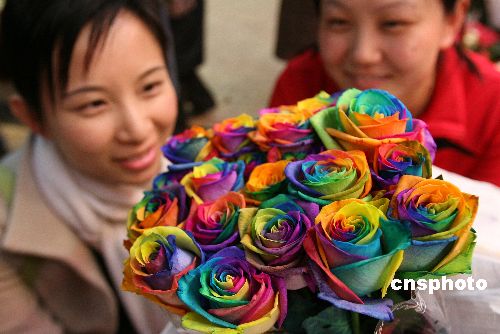 xinsrc_2120205130748640304706.jpg