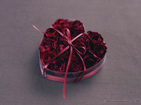xinsrc_15202051409436873020820.jpg