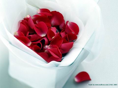 xinsrc_1420205140943921305418.jpg