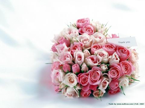 xinsrc_16202051409435462569622.jpg