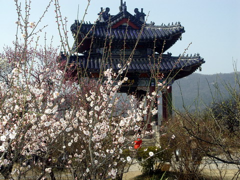 DSC01305.JPG