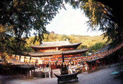 20--F96.jpg