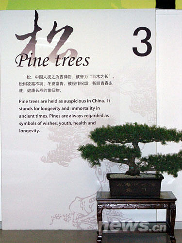 xin_08207052316240621677155.jpg