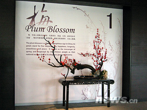 xin_08207052316247342450559.jpg