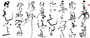 B2726C001_b.jpg