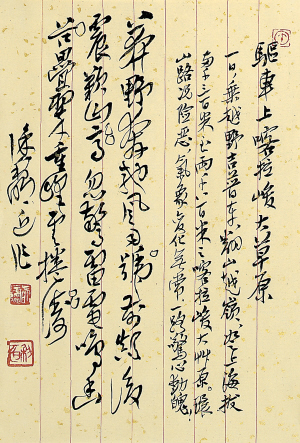 B4726C008_b.jpg