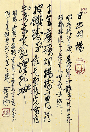 B4726C003_b.jpg