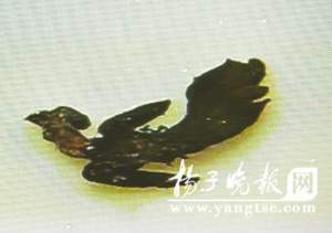 1218043296453YZA03807C005_b.jpg