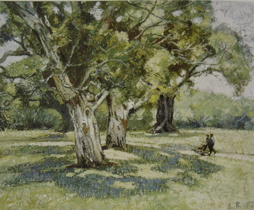 “悉尼公园”1986年49X43CM.JPG
