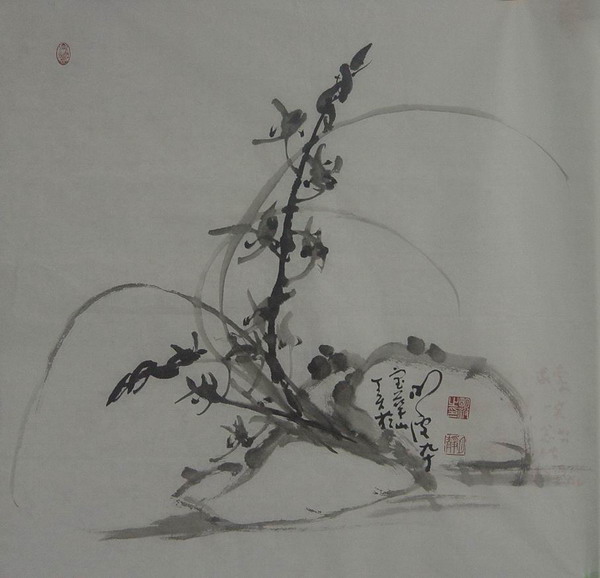 明波：兰花 68X68.JPG