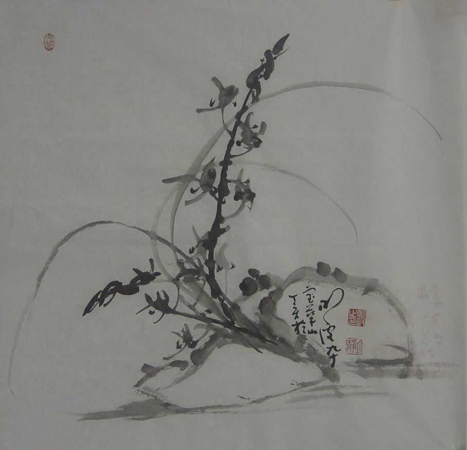 明波：兰花 68X68.JPG