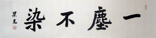 果光;一尘不染32X128.JPG