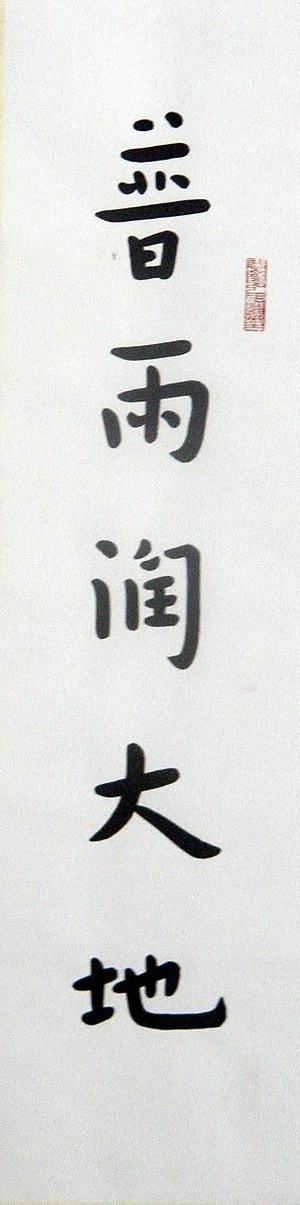 李丽娟：普雨润大地.JPG