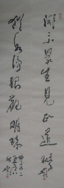 301圆霖：“开示众生见正道，犹如静眼观明珠。”100X18.JPG
