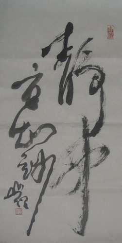 207圆霖：“静中方知妙”，68X35.JPG