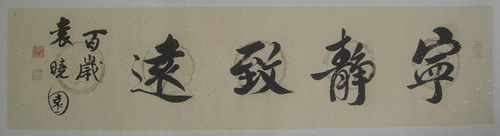 袁哓园：书法“宁静致远”33X133.JPG