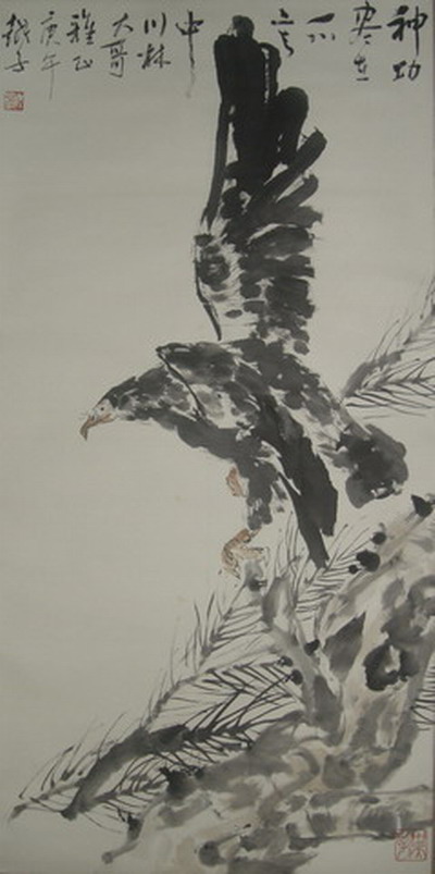 苍鹰－01.jpg