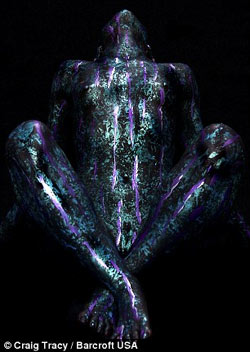 xin_33211060310589371064929.jpg