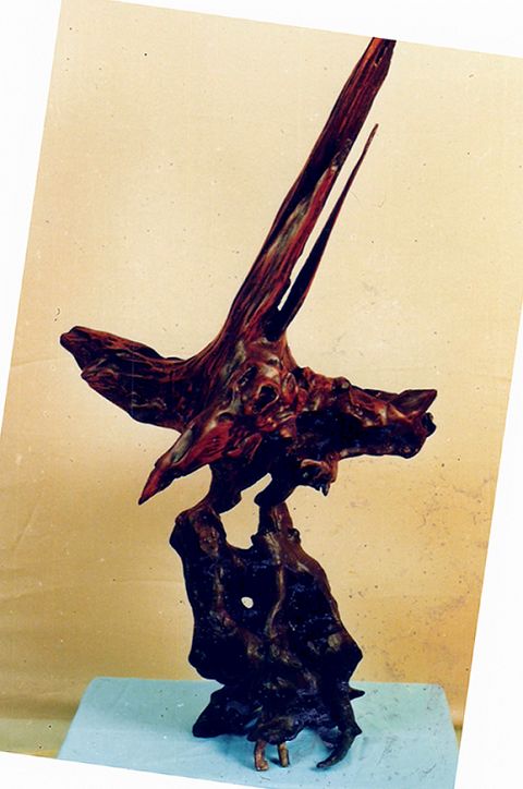 鹰击长空.jpg