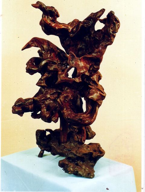 百鸟朝晖.jpg