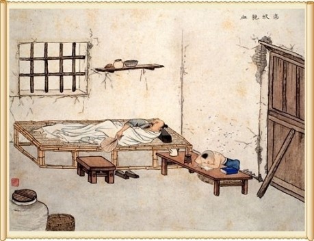 19 恣蚊饱血.jpg