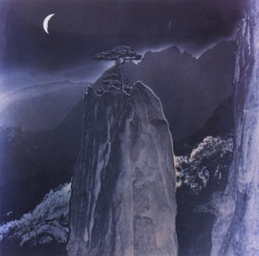 黄山层林邀月.jpg