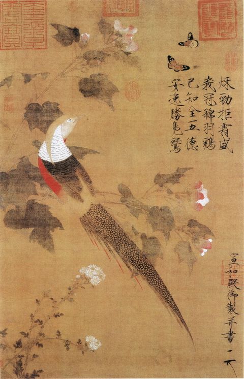芙蓉锦鸡图轴.jpg