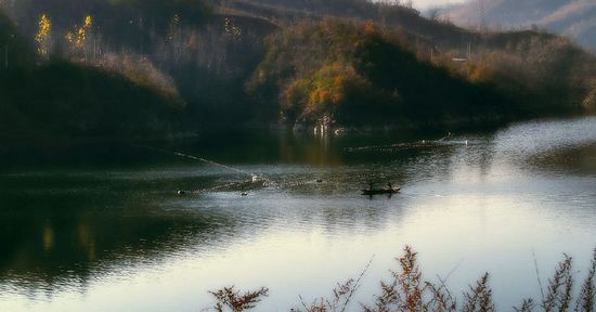 12575409_21n.jpg