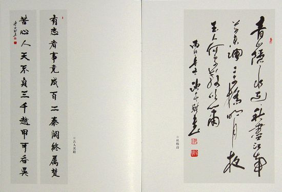 DSC02929.JPG