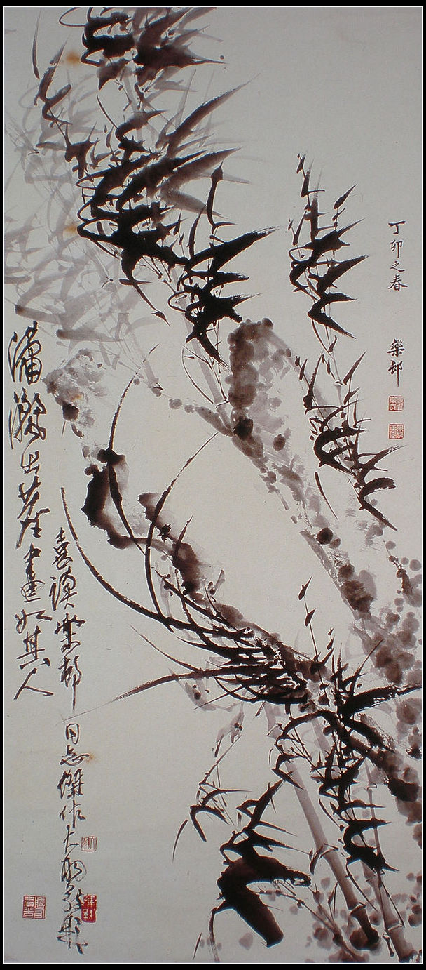 陈大羽600.jpg