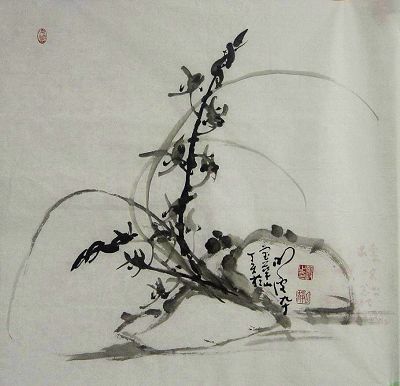 明波：兰花 68X68.JPG
