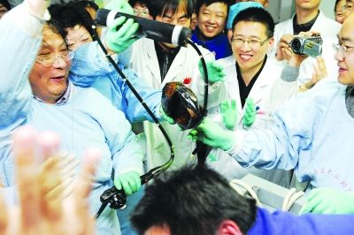 20日下午3点28分，小海豚吞进肚里的排球终于取出来了，在场人员一片欢呼.jpg