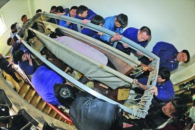 20名大汉将海豚抬进医院手术室.jpg