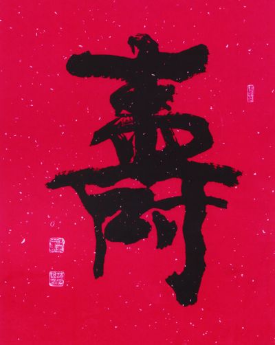 沈家骐-2.jpg