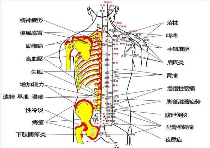 电疗—还你健康人生0.png