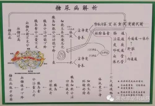 糖尿病的发病原因和解决方案1.webp.jpg