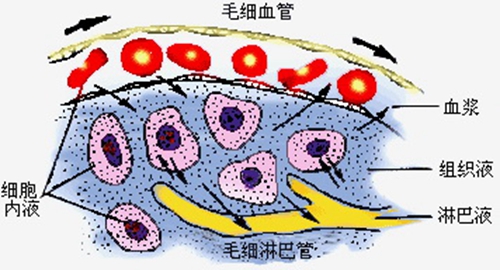 什么是“细胞矫正医学”4.jpg