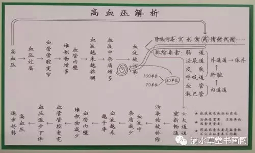 高血压的发病原因和解决1.webp.jpg